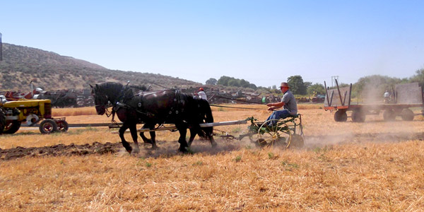 Central Washington Agricultural Museum - Union Gap, WA