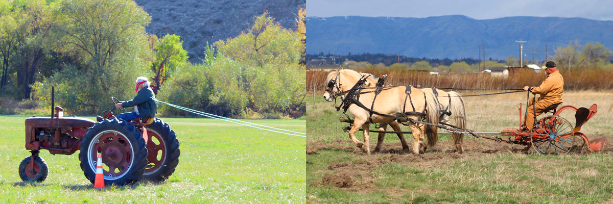 PLOWING BEE & HORSE SPECTACULAR - Union Gap, WA
